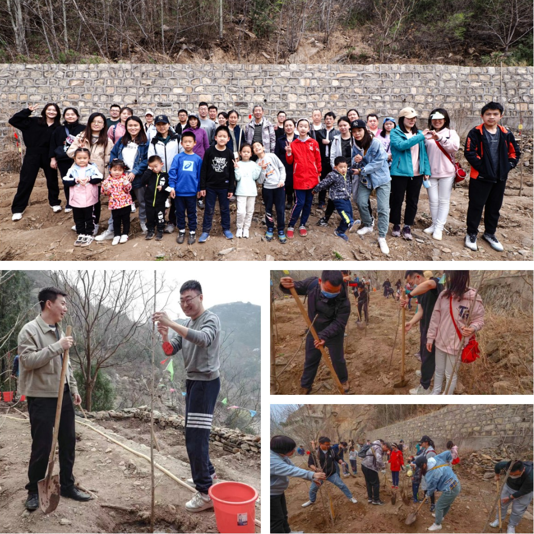 植树春风起 公益正扬帆｜光大信托第六届植树活动